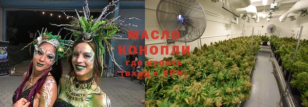 ешки Горняк