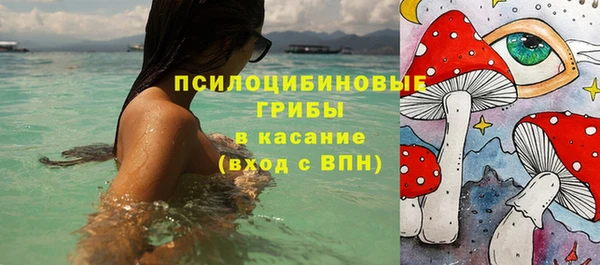 трава Усинск