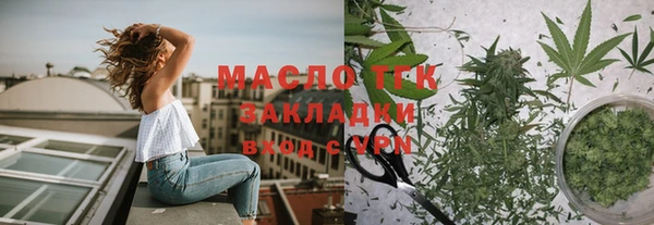 ешки Горняк