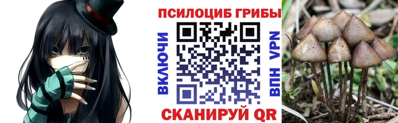 как найти закладки  mega зеркало  Псилоцибиновые грибы MAGIC MUSHROOMS  Чулым 